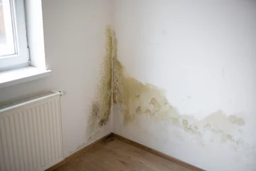 Fotobehang strong mildew in large stains is located on white interior wall in apartment © epiximages