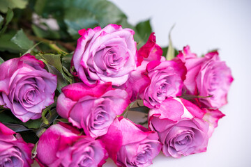 Bouquet of purple roses on white background. Flower background. Mothers Day, Wedding and Birthday concept.