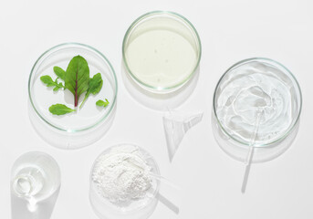  natural cosmetic research in a laboratory, petri dishes and lab glassware with medium, clay powder and green leaves. test for efficiency in vitro.