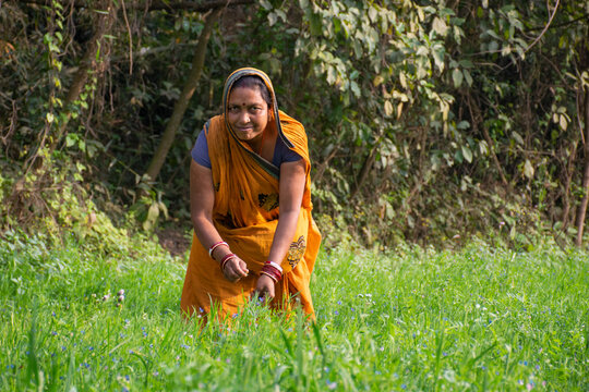 indian woman farmer working in agricultural field