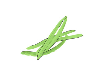 Illustration d'haricots verts sur fond blanc. 
