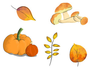 Ensemble de légumes d'automne. Citrouille et champignon. Feuilles mortes. Feuilles jaunes. Feuilles oranges. Illustration sur fond blanc