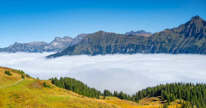 Mountain range through the clouds. Field and forest. Landscape in the summertime. Large resolution photo for design.