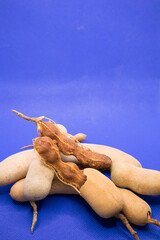 Tamarind in a blue background