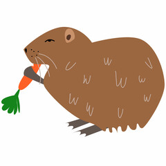 Vector illustration of nutria in a flat style isolated on a white background.