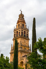 Naklejka premium Exterior view and decorative detail from the magnificent Mosque of Cordoba