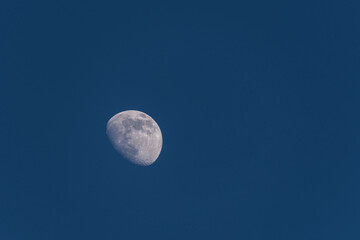 MOON - Earth satellite on the background of blue sky
