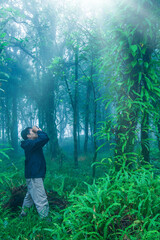 Birdwatcher with binoculars watching birds in a rainforest.