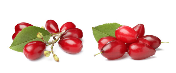 Set of ripe red dogwood berries on white background, banner design