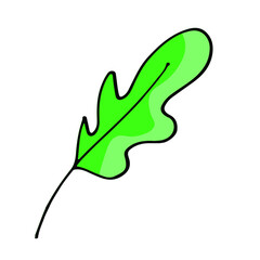 Oak tree leaf sketch icon. Cartoon botany vector hand drawn element. Doodle illustration symbol