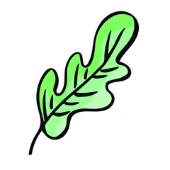 Cartoon leaf nature sketch icon. Leaves botany vector hand drawn element. Doodle illustration symbol