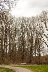 park in spring with a small bench in the picture 