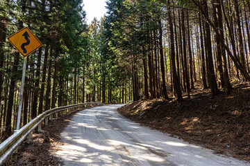 森の中の道路
