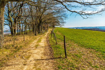 Wandern im Siegerland bei Kreuzberg im Vorfrühling