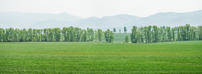 Countryside, arable land. Spring landscape, sunny day, panoramic view.