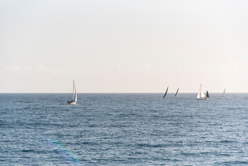 sailboats in a competition en Aguilas sea