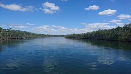 Mangrove wood in Florida - Mangrovenwald vor der Küste Floridas mit Wolkenspiegelungen im Wasser