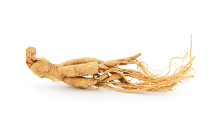 Ginseng or Panax ginseng isolated on white background with clipping path.