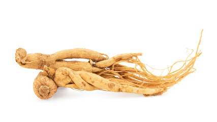 Ginseng or Panax ginseng isolated on white background with clipping path. - obrazy, fototapety, plakaty