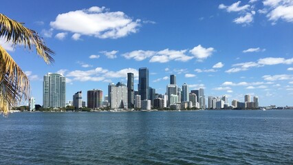 Fototapeta na wymiar Skyline von Miami mit seitlichem Palmwedel