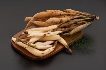 Shatavari or Asparagus racemosus roots isolated on black background.