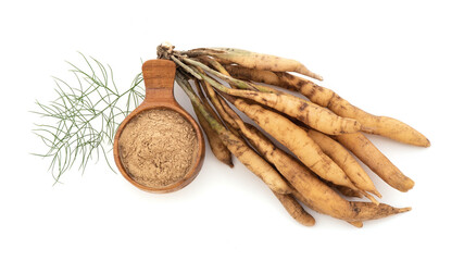 Shatavari or Asparagus racemosus roots and powder isolated on white background.top view.