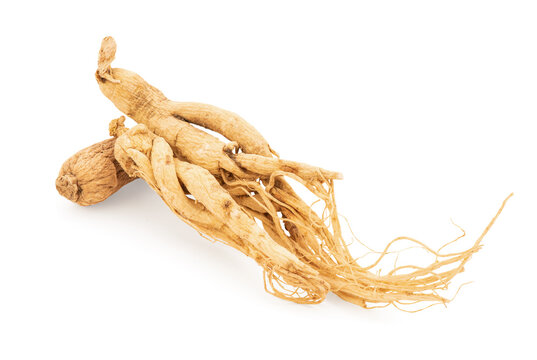 Ginseng or Panax ginseng isolated on white background with clipping path.