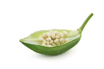 Fresh abelmosk fruit isolated on white background with clipping path.