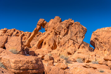 Obraz premium Elephant Rock Valley of Fire State Park