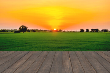 Empty wood table and blurred rice field background.For montage product display.