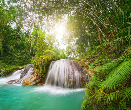 Beautiful forest waterfall and bamboo trees in Siquijor Island National Park. Philippines © soft_light