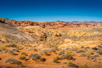 Colorful Desert Floor - Valley of Fire State Park