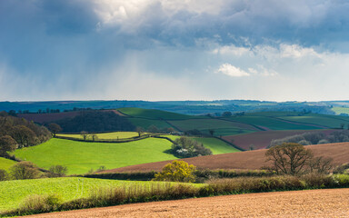 Fields and Meadows over English Village, Devon, England, Europe