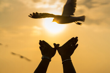 silhouette hand people resemble bird flying in the sunset
