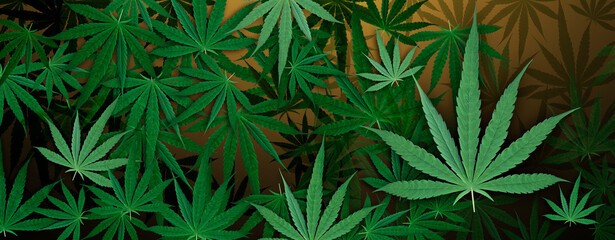 Marijuana leaf, Brown color background. Decorate for ad, poster, template print, artwork