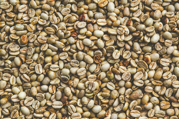 Raw of Coffee beans for background. White seed coffee.