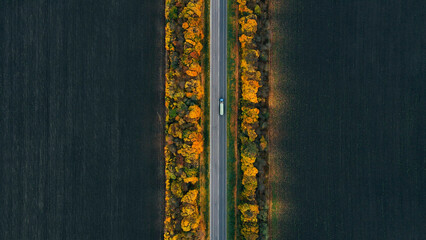 Aerial view white truck drive along the new road marked with yellow autumn trees