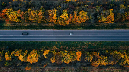 Cars are driving on a new straight road with markings around yellow autumn trees