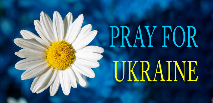 Fotograf&iacute;a de una margarita con los colores de la bandera de Ucrania y el mensaje "pray for Ukraine"