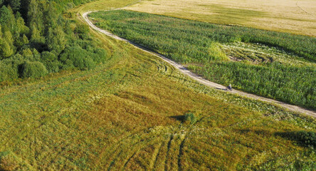 motorcyclist rides through a beautiful field