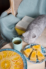 gray kitten sits in an armchair with a orange pie and books, cozy vibes, 