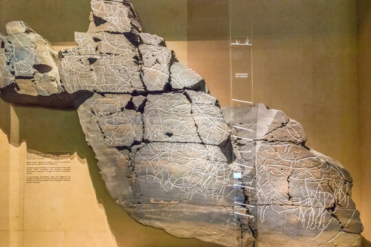 VILA NOVA DE FOZ COA, PORTUGAL - JUNE 9, 2016: Exhibitions of the Museum of Art and Archaeology in the Prehistoric Rock-Art Site of the Coa Valley. The site is one of UNESCO World Heritage Sites.