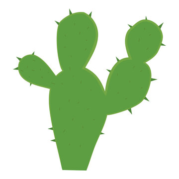 vector illustration, green cactus, with thorns, isolated on white background, cute cartoon style