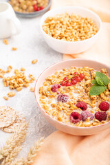 Wheat flakes porridge with milk, raspberry and currant in ceramic bowl on gray concrete background. Side view, selective focus.