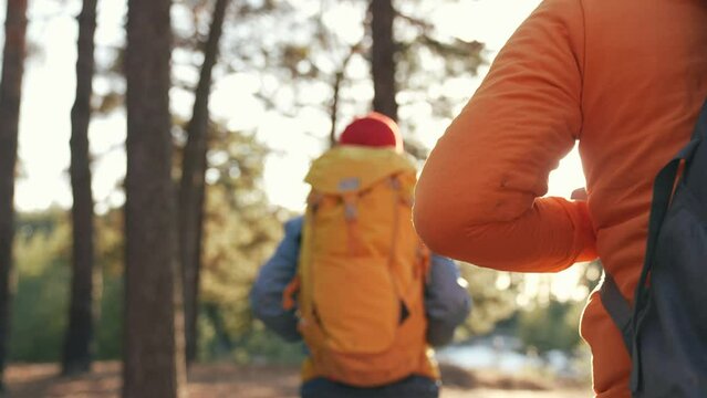 Teamwork. a group of hikers tourists walk through the forest with backpacks. team travel together business teamwork concept. man and woman hikers walking unity through the woods. hiker in the woods