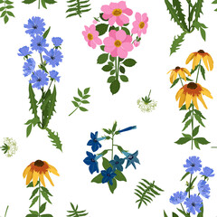 Seamless vector illustration with campanula, chicory flowers and rudbeckia on a white background.