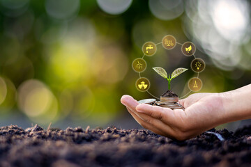 Tree growing from coins in human hand and blurred natural green background, finance and money...