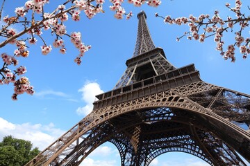 Eiffel Tower in Paris. Spring blossoms in France.