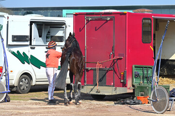 soigneur et son cheval de course après la compétition