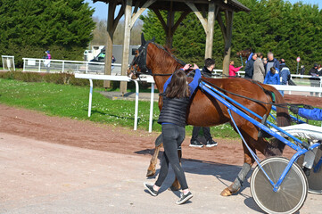 cheval de course avec sulky et soigneur